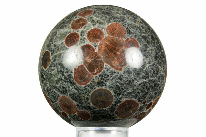 Polished Orbicular Rhyolite (Peanut Obsidian) Sphere - Mexico #371240